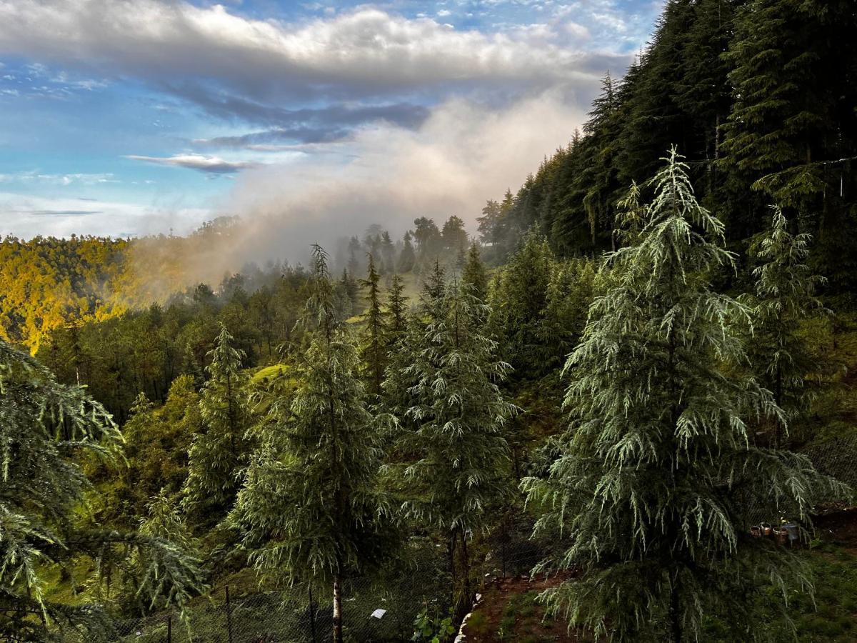 The Roots Homestay Almora Exterior photo