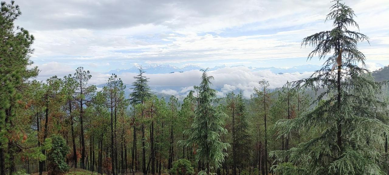 The Roots Homestay Almora Exterior photo